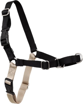 Picture of PetSafe Easy Walk Harness for Dogs - Pull-Free Walks - Patented Martingale Loop Design - Front Chest Leash Attachment - Adjustable Comfort Straps - Breathable Harness Design - Large, Black/Silver
