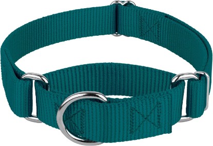 Picture of Country Brook Petz - Martingale Dog Collar - Heavy-Duty Training Collar with No Buckle - Service Dog Collar for All Pups - 20 Vibrant Colors (Teal, 1 Inch, Medium)