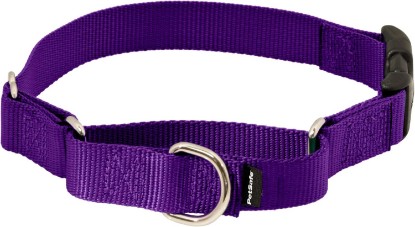 Picture of PetSafe Martingale Quick-Snap Dog Collar, Deep Purple, 1 in, Medium | Tightens When Dog Pulls, Loosens When Calm for a Secure, Escape-Resistant Fit, Durable Nylon, Quick-Snap Buckle