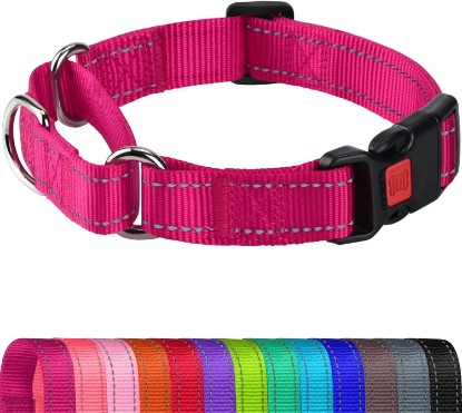 Picture of Joytale Martingale Collar for Dogs, Escape Proof No Pull, Hotpink, M | Gentle Cinch Stops Pulling without Choking, Safety Lock Buckle, Reflective Stitching for Night Walks, Soft Nylon Global Recycled Standard