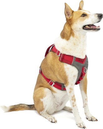 Picture of Kurgo Journey Air Dog Harness, Red, Large | Padded Chest, Ripstop Outer & Breathable Mesh, Back Assist Handle, Rust-Free Aluminum Hardware, Reflective Trim