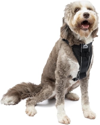Picture of Kurgo Tru-Fit Smart Harness, Black, Large | Dog Walking Harness with Quick Release Buckles, Front & Back Leash Attachments, Reflective Trim, Includes Seatbelt Tether
