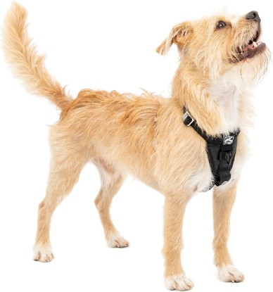 Picture of Kurgo Enhanced Strength Tru-Fit Smart Harness, Black, Small | Crash Tested Car Harness for Dogs up to 75Lbs, Seatbelt Tether & Steel Carabiner, All-Steel Buckles, Padded Chest for Comfort