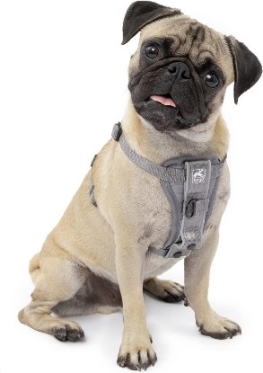 Picture of Kurgo Tru-Fit Smart Harness, Grey, Small | Dog Walking Harness with Quick Release Buckles, Front & Back Leash Attachments, Reflective Trim, Includes Seatbelt Tether