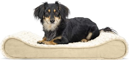 Picture of Furhaven Orthopedic Dog Bed for Medium/Small Dogs w/ Removable Washable Cover, For Dogs Up to 23 lbs - Ultra Plush Faux Fur & Suede Luxe Lounger Contour Mattress - Cream, Medium
