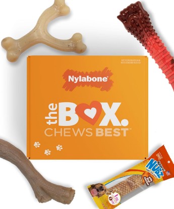 Picture of Nylabone Dog Gift Box, Strong Chew Toys & Treat, Large, 4 Count | Flavor variety, 3 durable chew toys & 1 natural treat, dog birthday gift, strong, long lasting, for dogs up to 50 lbs