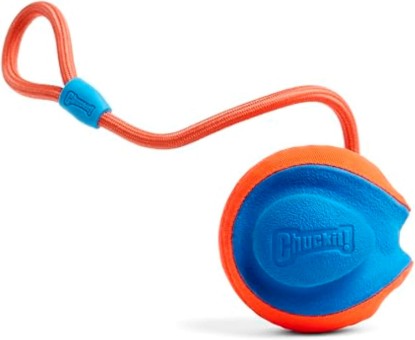 Picture of Chuckit! Rope Fetch Dog Toy, Ball on Rope, Durable EVA Rubber, 5.5-in | 18-In Rope Toy Doubles as a Fetch and Tug-of-War Toy for Dogs, Built in a Durable Orange and Blue Design for Play