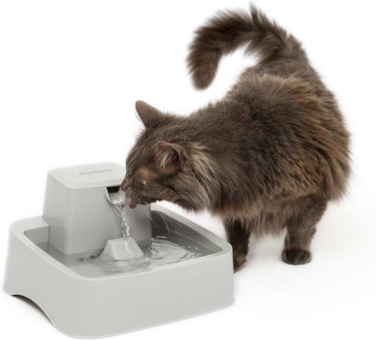 Picture of PetSafe Oasys Pet Fountain, 1/2 Gallon (64 oz), Small Dogs & Cats | Adjustable Water Flow, Whisker-Friendly Tray, Dishwasher-Safe, Replaceable Carbon & Foam Filters Included