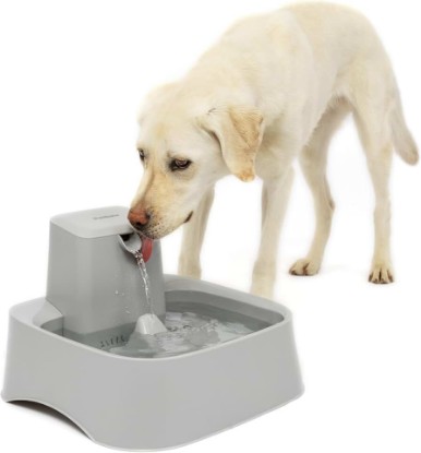 Picture of PetSafe Oasys Pet Fountain, 2 Gallon (256 oz), Cats, Dogs & Multi-Pet Homes | Adjustable Water Flow, Whisker-Friendly Tray, Dishwasher-Safe, Replaceable Carbon & Foam Filters Included