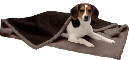 Picture of Furhaven Waterproof & Self-Warming Throw Blanket for Dogs & Indoor Cats, Washable & Reflects Body Heat - Soft-Edged Terry & Sherpa Dog Blanket - Espresso, Medium