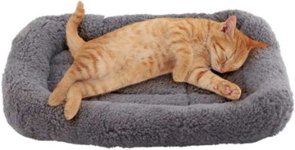Picture of Enjoying Cat Mat Bed 10" x 15" Pet Bed with Pillow Around for Puppy Kitten Curled Sleeping Beds for Carrier/Crate Small Dog Cushion, Anti Skid Bottom, Small