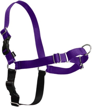 Picture of PetSafe Easy Walk Harness, No Pull Dog Harness, Deep Purple, Medium | Patented Martingale Loop Gives Gradual Shoulder Pressure to Stop Pulling, Front-Chest Leash Clip Prevents Gagging