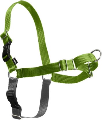 Picture of PetSafe Easy Walk Harness for Dogs - Pull-Free Walks - Patented Martingale Loop Design - Front Chest Leash Attachment - Comfort Straps - Breathable Harness Design - Small/Medium, Apple Green/Gray