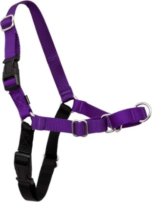 Picture of PetSafe Easy Walk Harness, No Pull Dog Harness, Deep Purple, Medium/Large | Patented Martingale Loop Gives Gradual Shoulder Pressure to Stop Pulling, Front-Chest Leash Clip Prevents Gagging