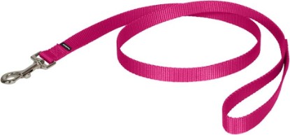 Picture of PetSafe Nylon Dog Leash, Raspberry Pink, 3/4 in x 4 ft | Durable Nylon Leash with Easy on/off Bolt Snap Hook, Pairs Perfectly with Easy Walk Harness and Gentle Leader Headcollar