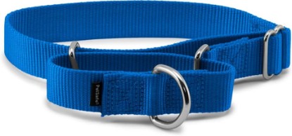 Picture of PetSafe Martingale Dog Collar, Royal Blue, 1 in, Medium | Comfortable Alternative to a Choke Collar, Martingale Loop Helps Prevent Escape, Durable Nylon, Vet & Trainer Recommended
