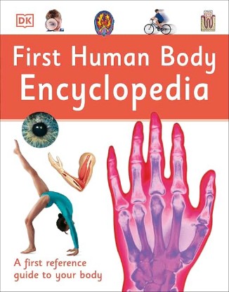 Picture of First Human Body Encyclopedia (DK First Reference)