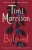 صورة Beloved: Pulitzer Prize Winner (Vintage International)