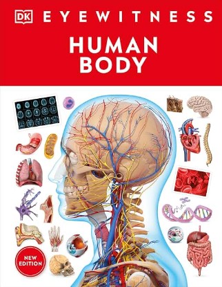Picture of Eyewitness Human Body